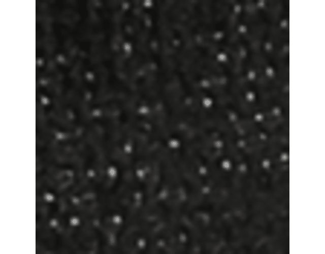 Black Stretch Fabric