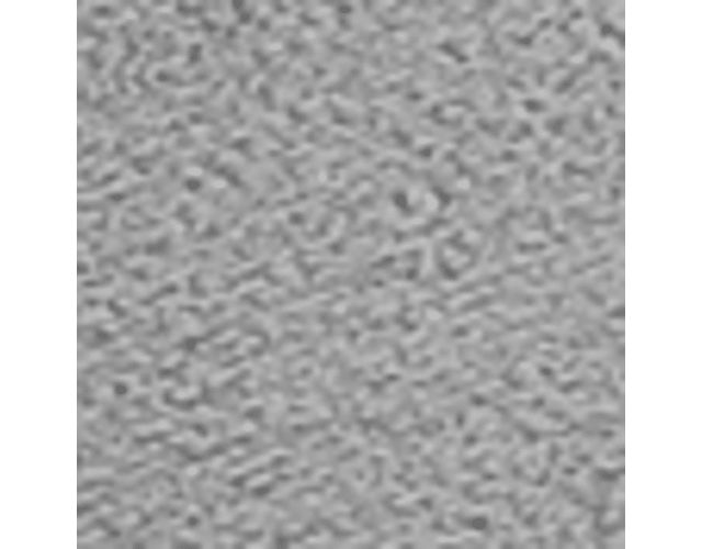 Oyster Grey