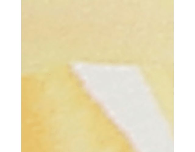 Sunlight Yellow Floral Leather