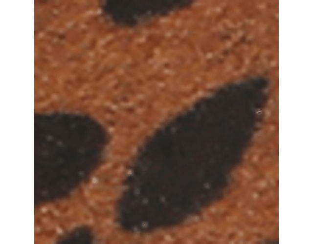 Leopard Print Faux Leather