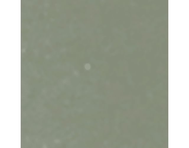 Pistachio Green Leather