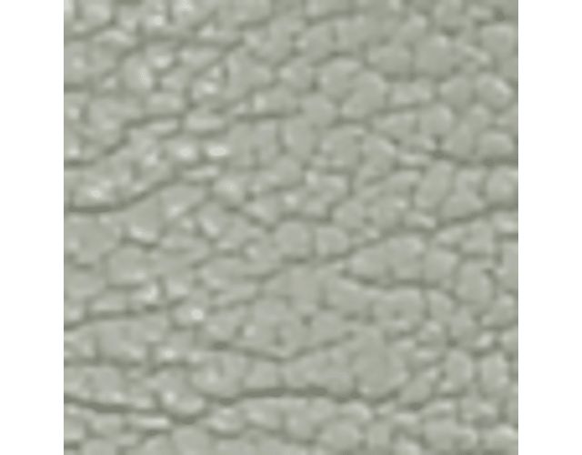 Pistachio Green Leather