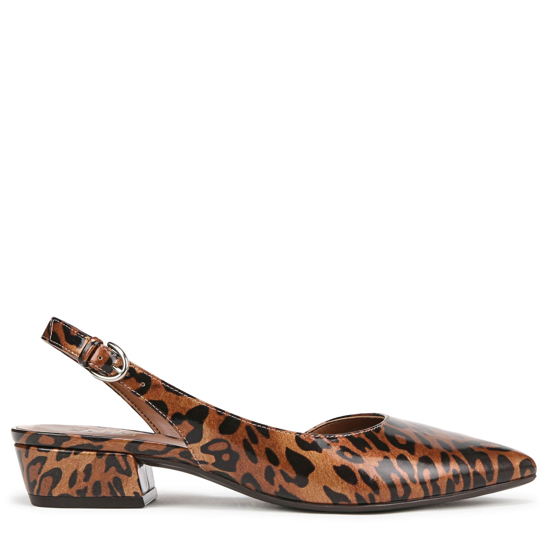 Banks Pointed Toe Flat