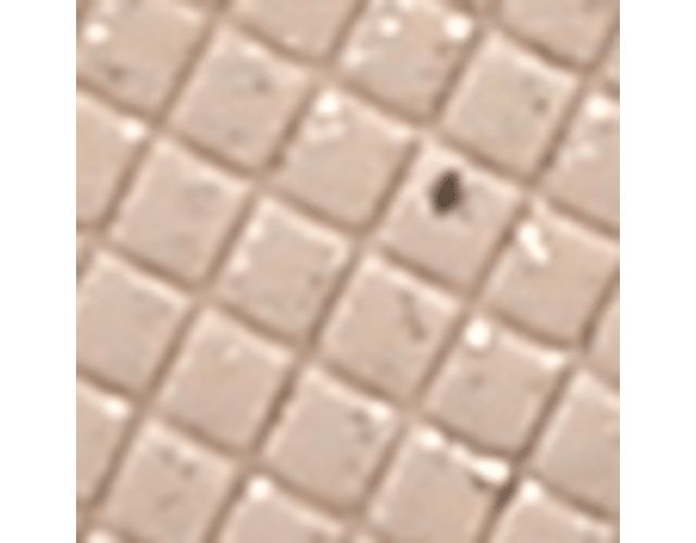 Sand Mettallic Fabric