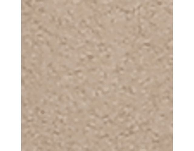 Coastal Tan Suede