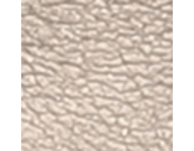 Warm Silver