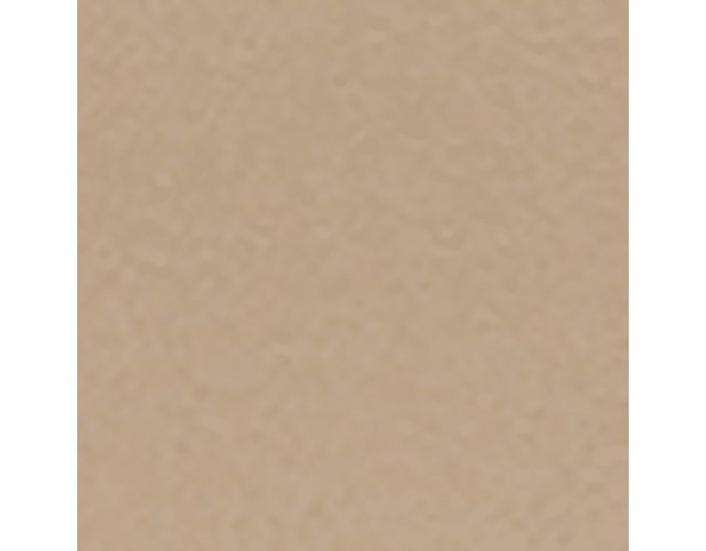 Coastal Tan Leather