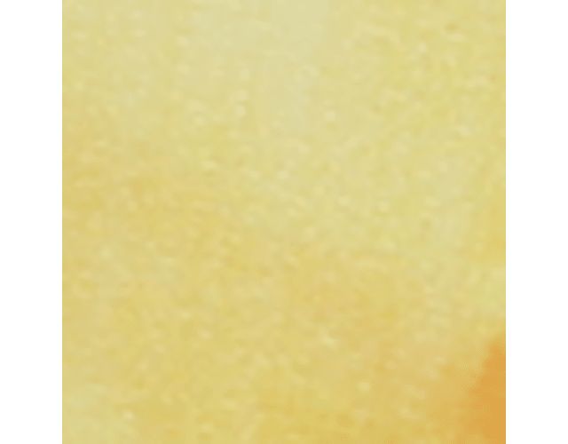 Sunlight Yellow Floral Leather