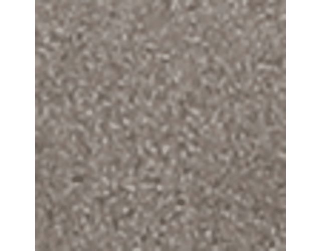 Paloma Grey