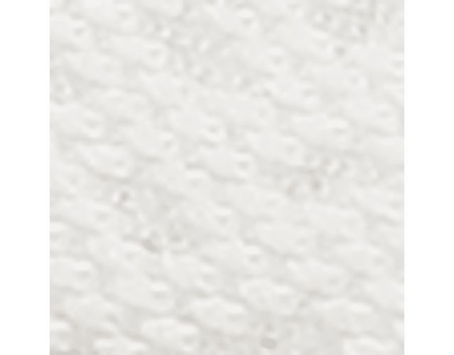 White Alyssum