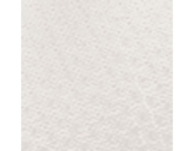 White Alyssum