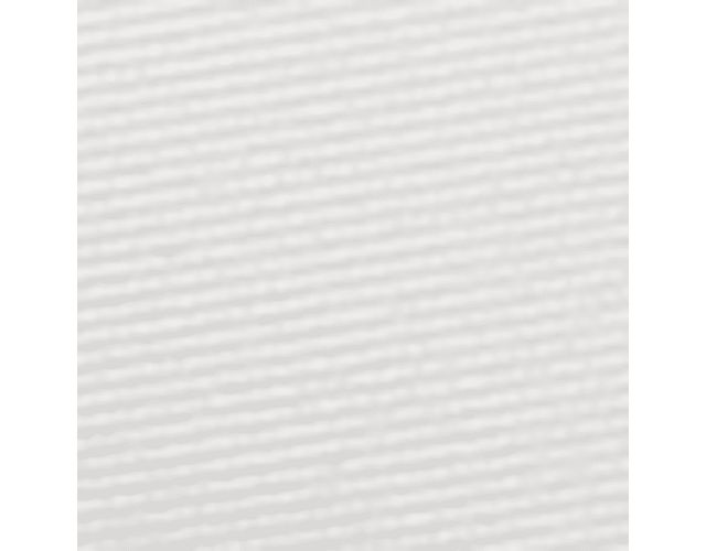 White Alyssum