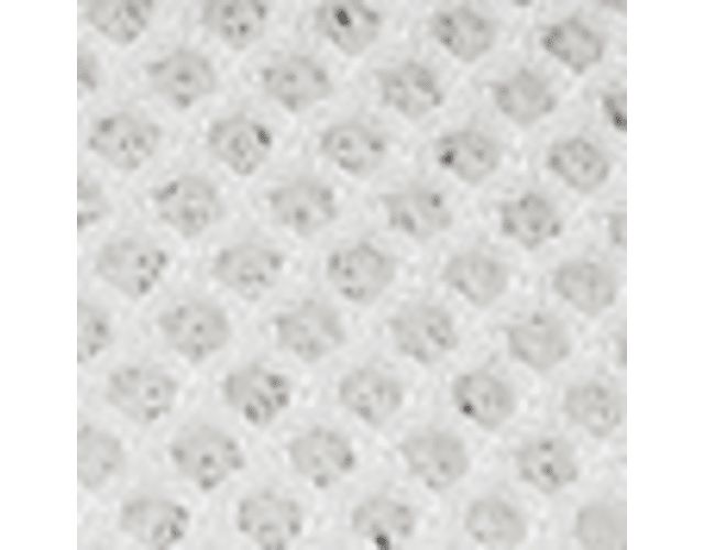 White Alyssum