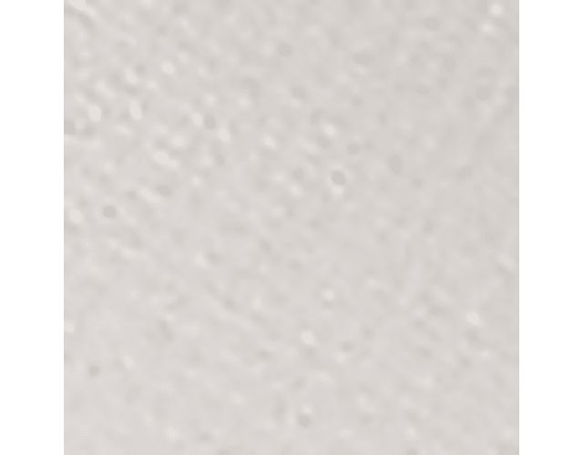 White Alyssum Pearl
