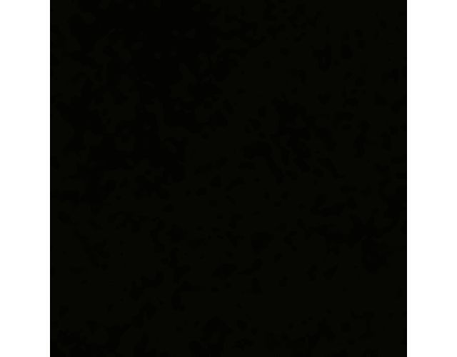 Black Leather