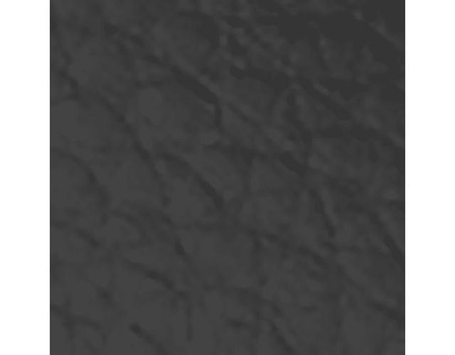 Black Leather