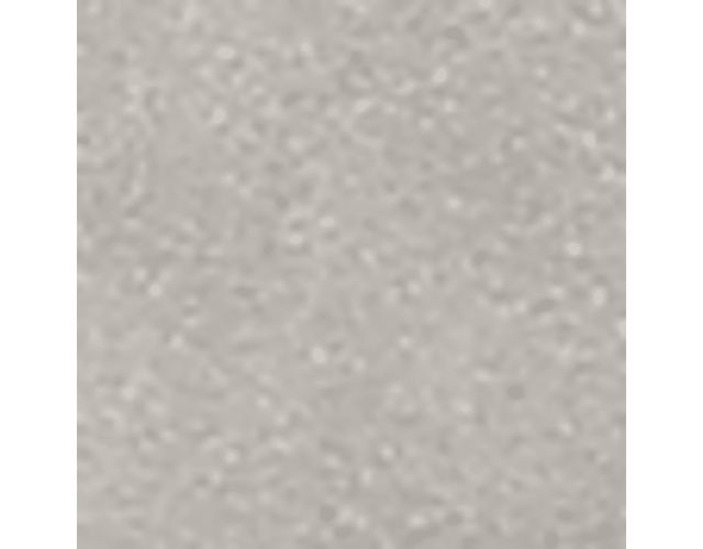 White Grey Fabric
