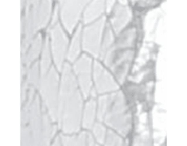 Silver Leather