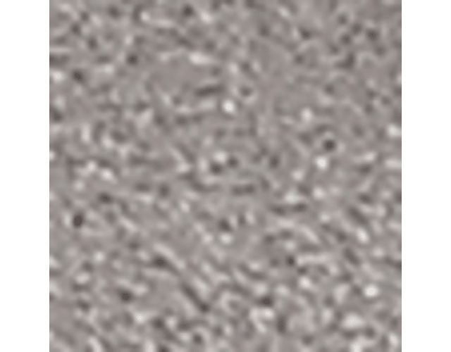 Pewter