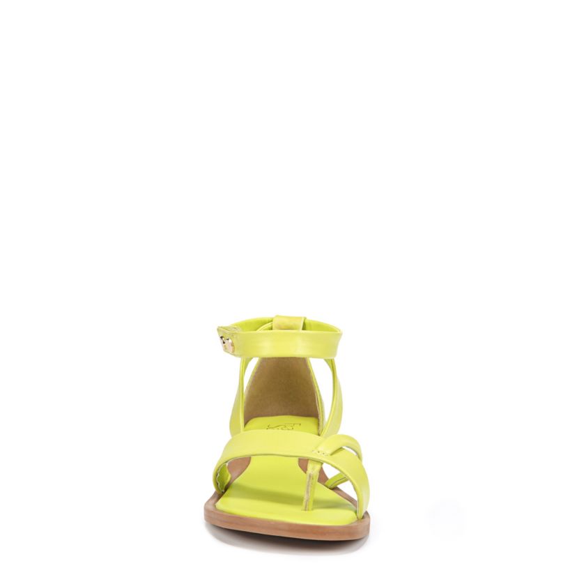 Parker Thong Sandal