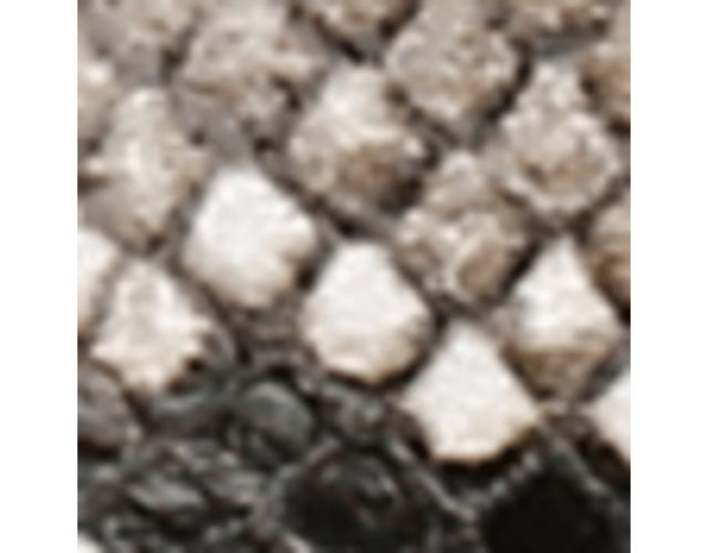 Black/Grey Snake Print Leather