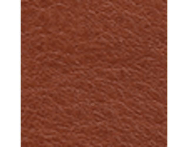 Tobacco Brown Leather