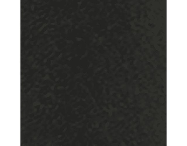 Black Leather