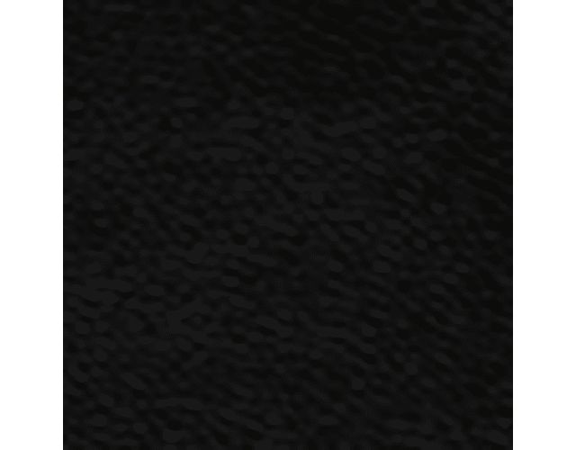 Black Leather