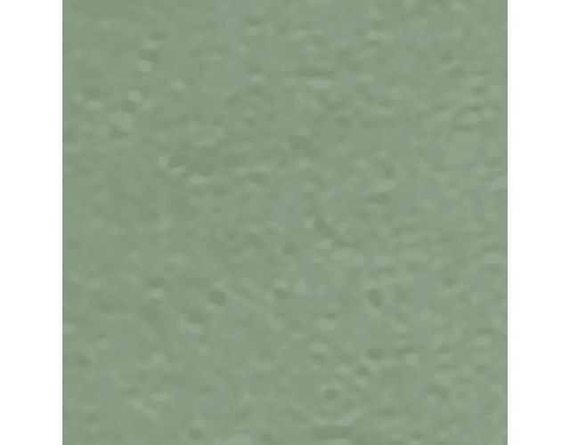 Aloe Green Leather