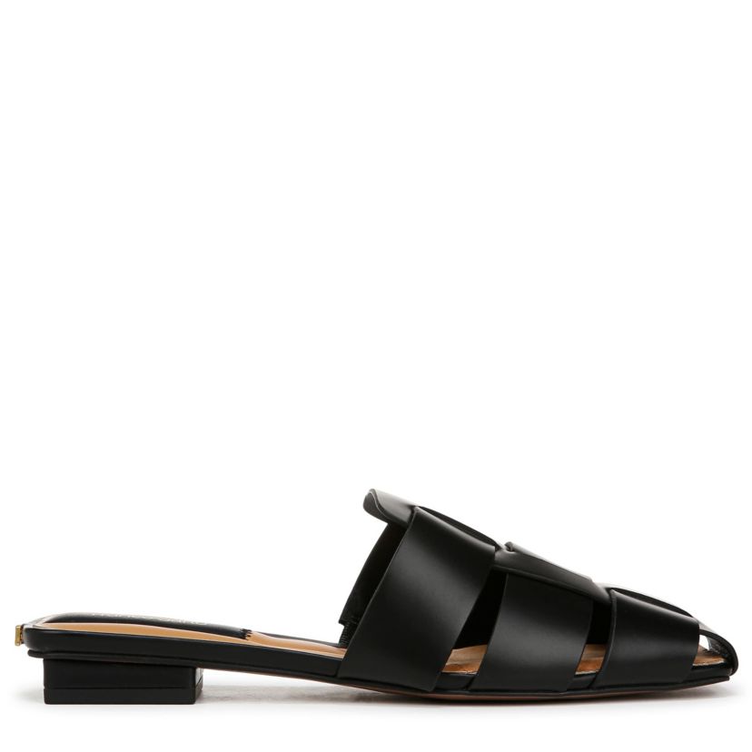 Franco Tavana Mule
