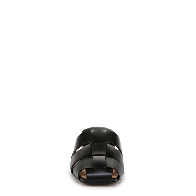 Franco Tavana Mule