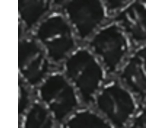 Black Snake Print Faux Leather