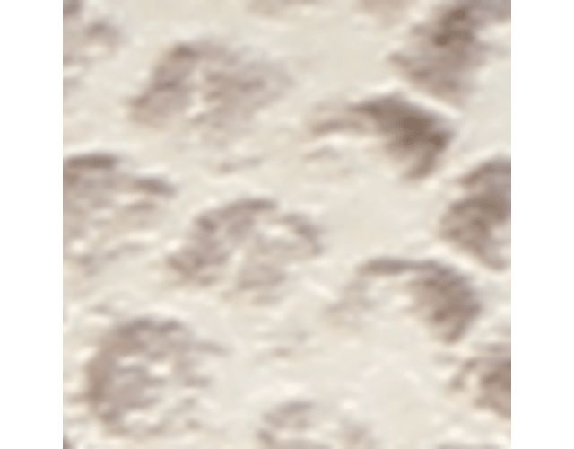 Grey Snake Print Faux Leather