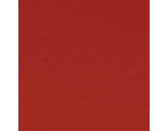Vintage Red Leather