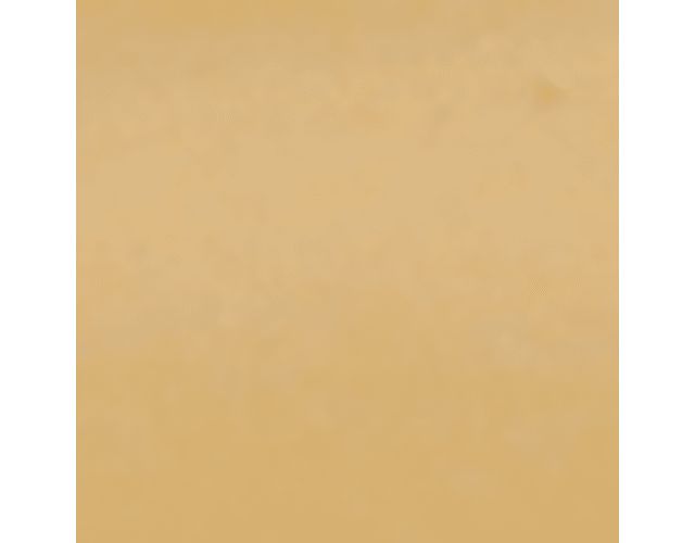 Orca Gold Faux Leather