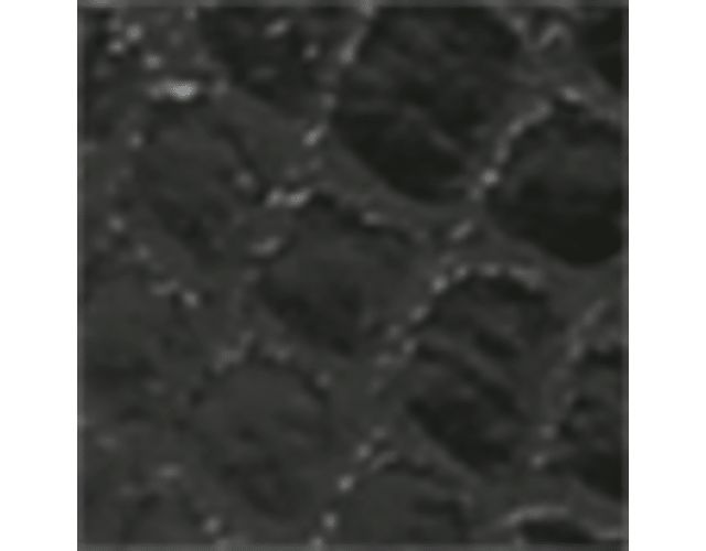Black Snake Print Faux Leather