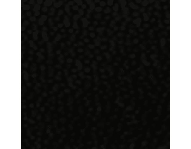 Black Leather