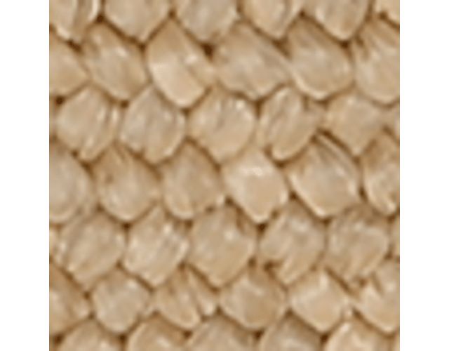 Multi Beige Raffia