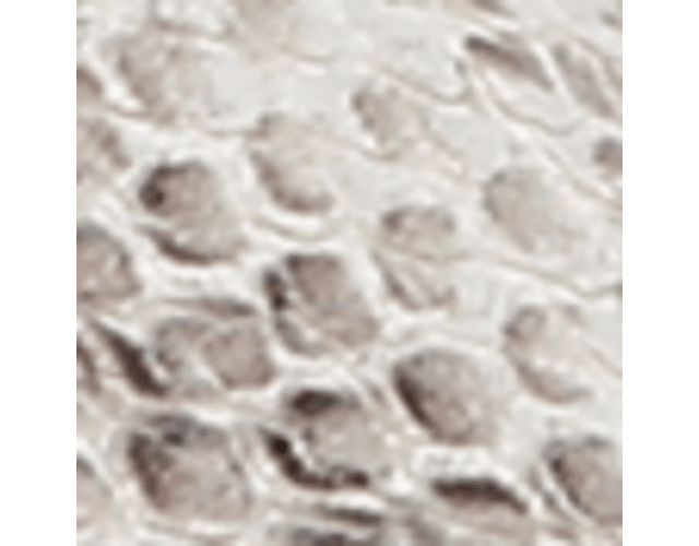Grey Snake Print Leather