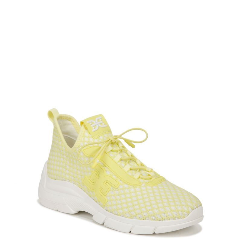 Lace-Up Shoes