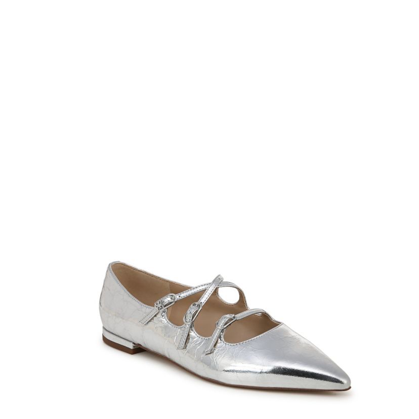 Cass Pointed Toe Flat