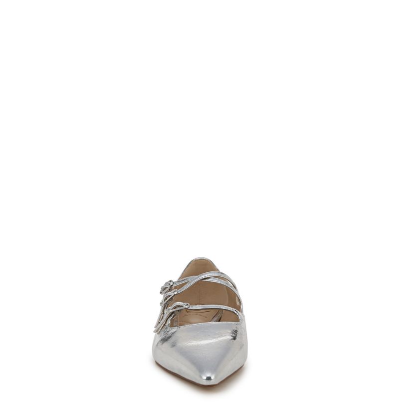Cass Pointed Toe Flat