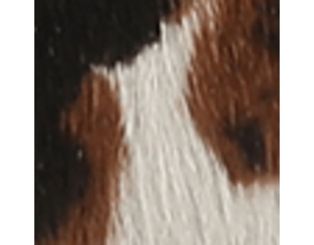 Brown Multi