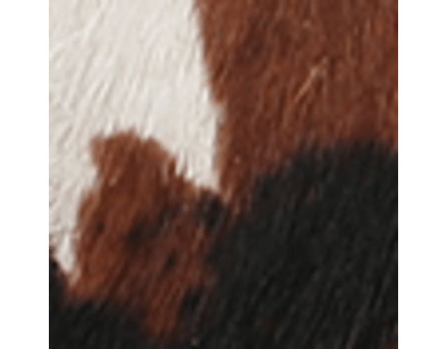 Brown Multi