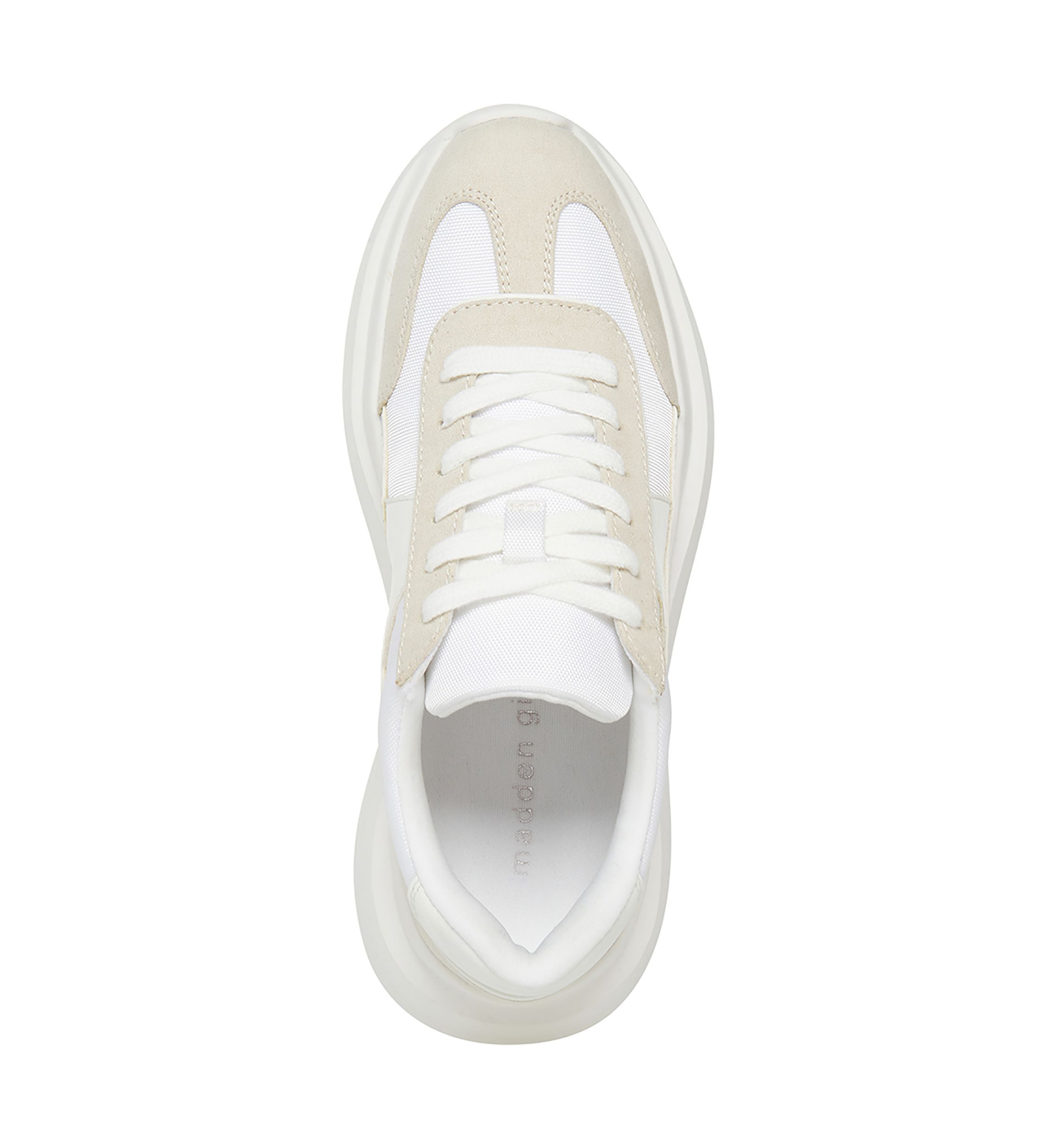 Amica Sneakers