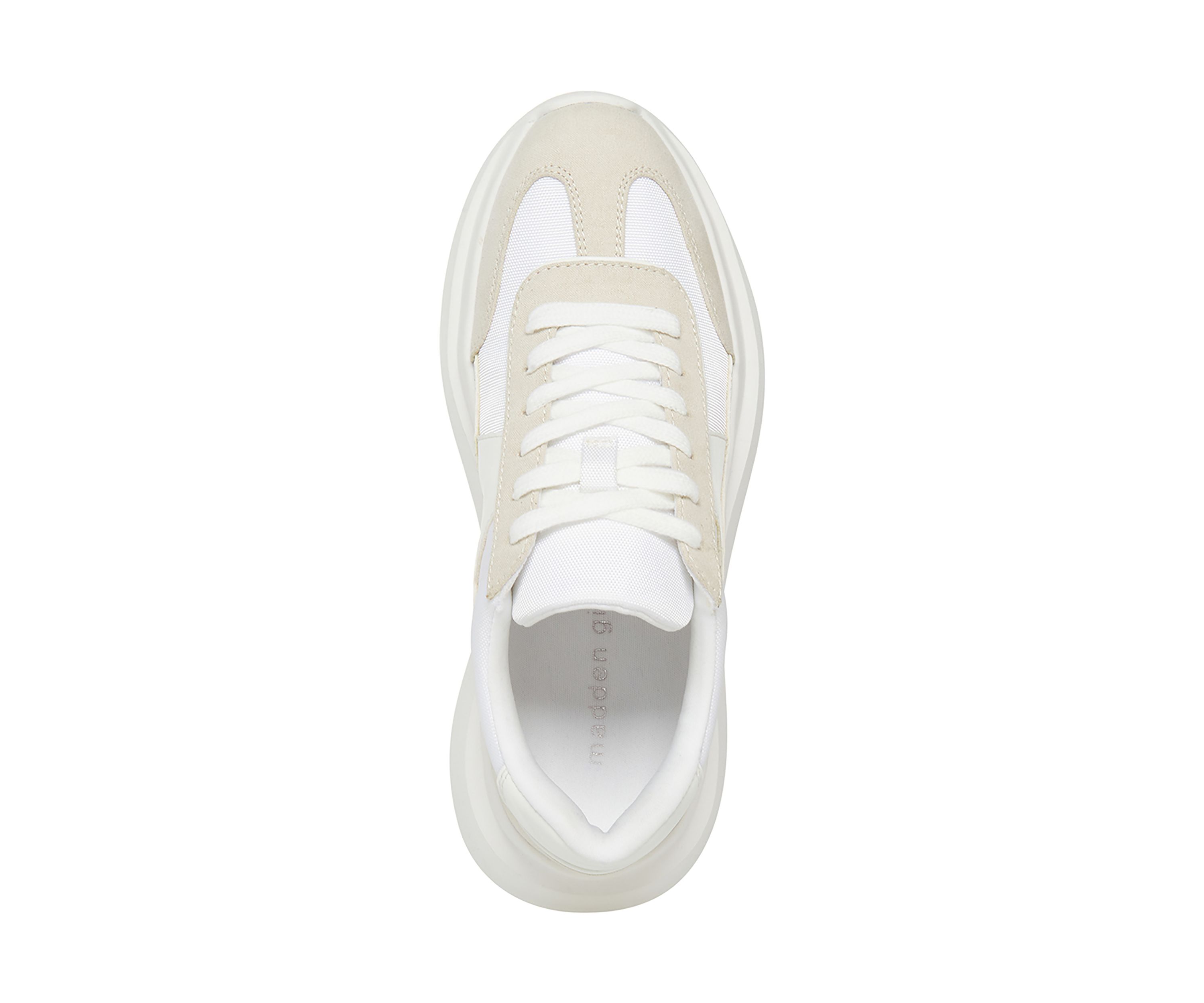 Amica Sneakers