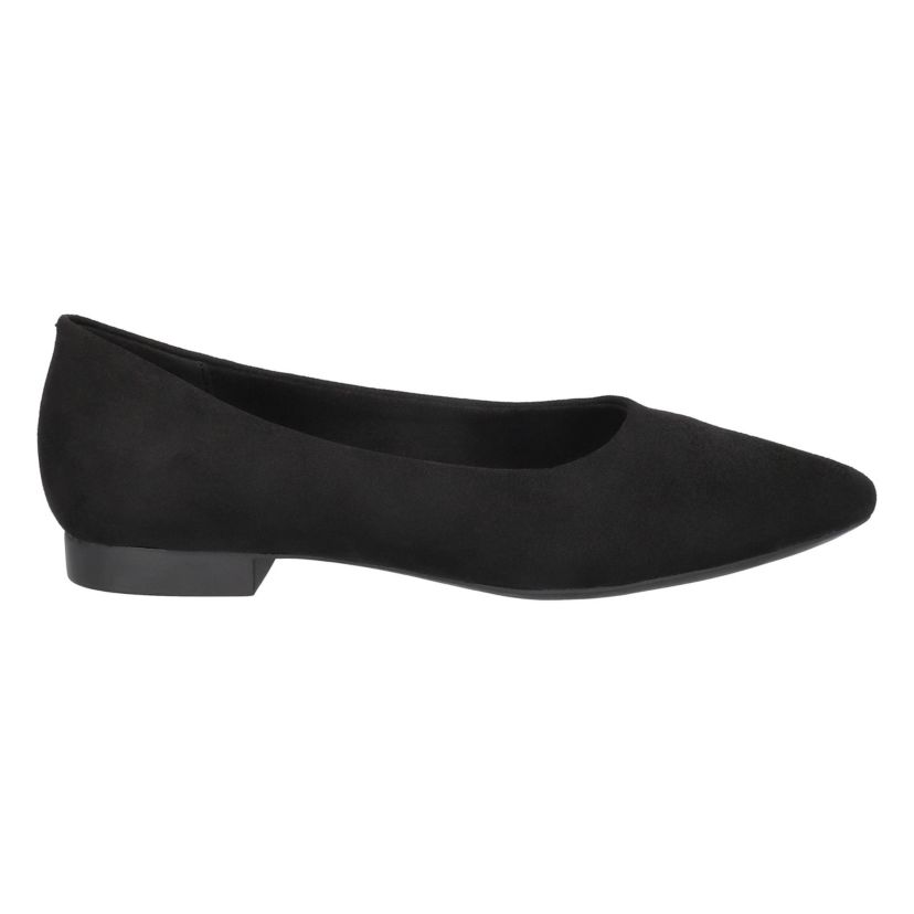 Mireya Flats