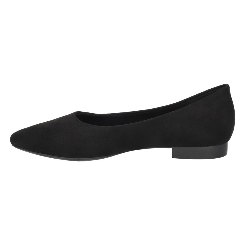 Mireya Flats