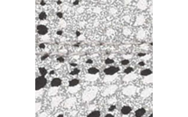 Silver Snake Print