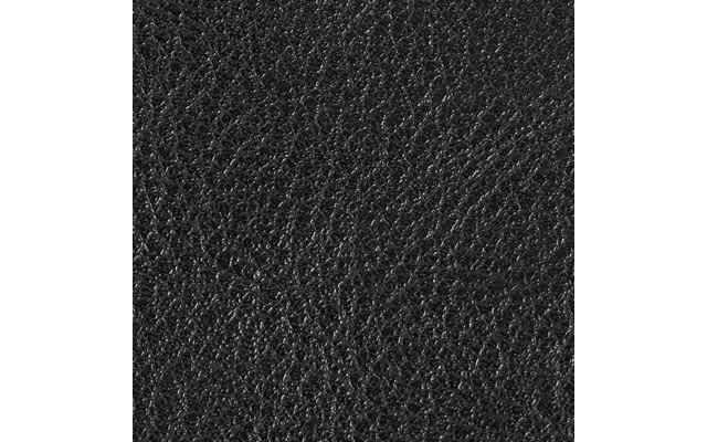 Black/Pewter